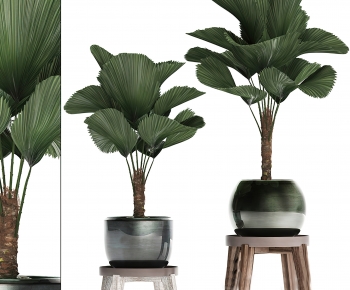 Modern Potted Green Plant-ID:374385122
