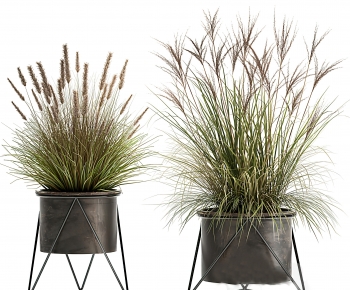 Modern Ground Green Plant Potted Plants-ID:487149952