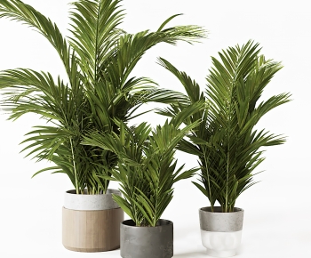 Modern Ground Green Plant Potted Plants-ID:656656987