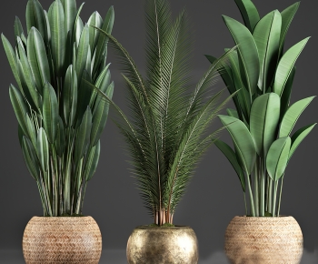 Modern Ground Green Plant Potted Plants-ID:408101082