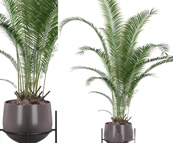 Modern Ground Green Plant Potted Plants-ID:319510947