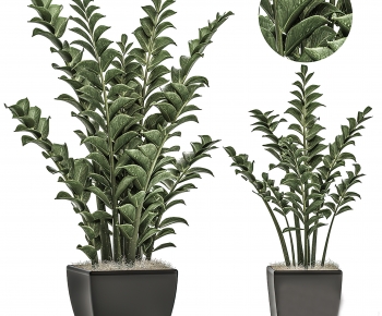 Modern Ground Green Plant Potted Plants-ID:418042903