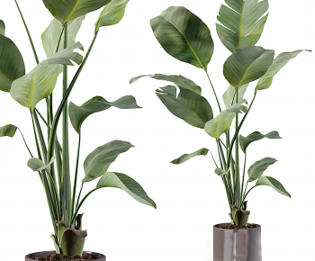 Modern Ground Green Plant Potted Plants-ID:399148946