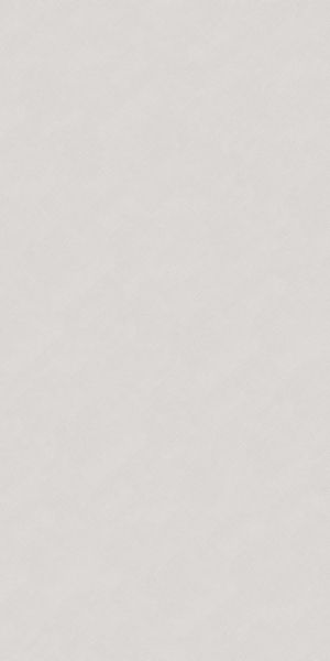 灰色微水泥砖-ID:800550081