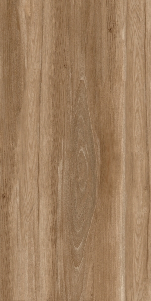 ModernWood Texture