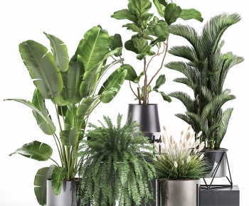 Modern Potted Green Plant-ID:989166024
