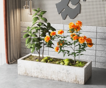 Modern Flower Bed, Flower Bowl, Flower Box-ID:711488012