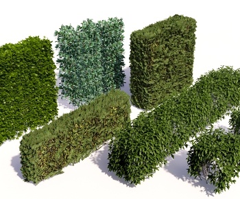 现代灌木绿植3D模型