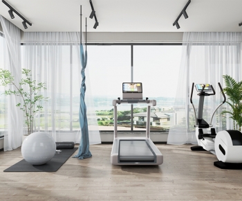 Modern Home Fitness Room-ID:459713941