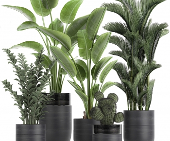 Modern Ground Green Plant Potted Plants-ID:533396019
