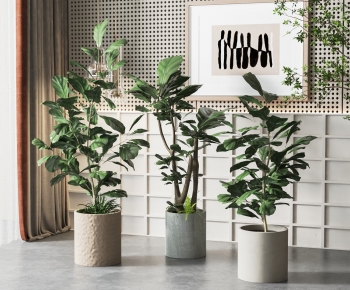 Modern Ground Green Plant Potted Plants-ID:618066071