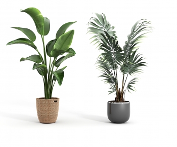 Modern Potted Green Plant-ID:870192055