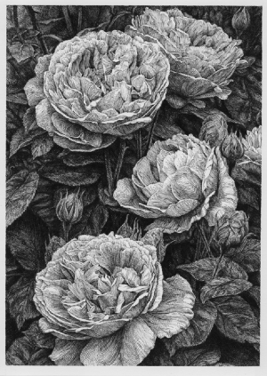 黑白花朵装饰画-ID:5681828