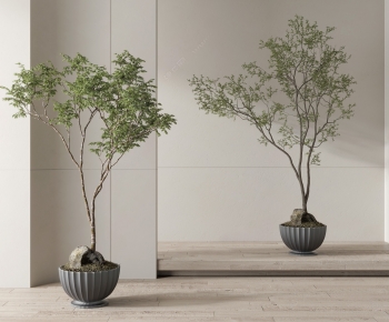 Modern Ground Green Plant Potted Plants-ID:396039966