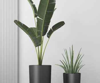 Modern Potted Green Plant-ID:159490182