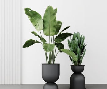 Modern Ground Green Plant Potted Plants-ID:951850895