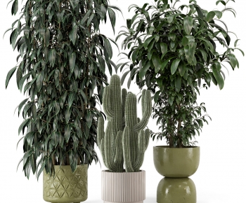 Modern Ground Green Plant Potted Plants-ID:745203979