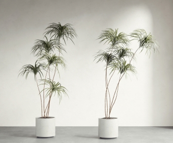 Modern Ground Green Plant Potted Plants-ID:111675986