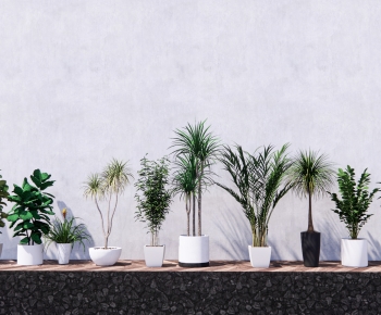Modern Ground Green Plant Potted Plants-ID:873240953