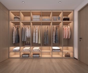 Modern Clothes Storage Area-ID:270250086