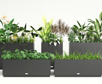 现代绿植盆栽 花箱3D模型