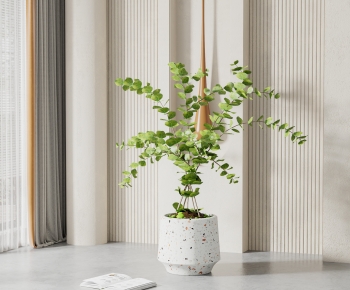 Modern Ground Green Plant Potted Plants-ID:960419894