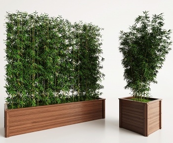 现代花坛 景观竹子3D模型