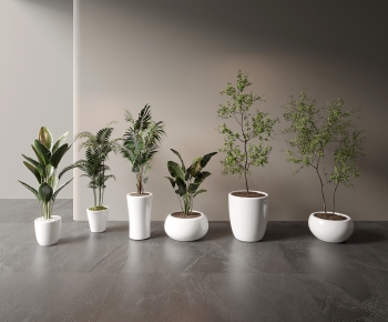 Modern Ground Green Plant Potted Plants-ID:905227909