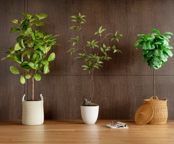 Modern Ground Green Plant Potted Plants-ID:416342972