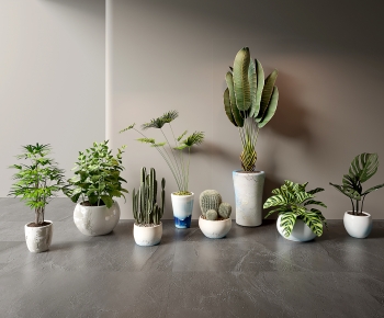 Modern Ground Green Plant Potted Plants-ID:608165034
