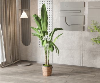 Modern Ground Green Plant Potted Plants-ID:685305126