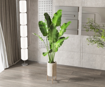 Modern Ground Green Plant Potted Plants-ID:843543059