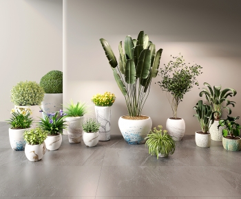 Modern Ground Green Plant Potted Plants-ID:696012025
