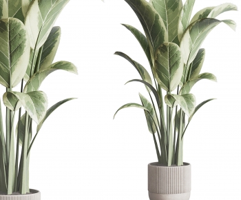 Modern Ground Green Plant Potted Plants-ID:435285093
