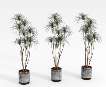 Modern Ground Green Plant Potted Plants-ID:168688068