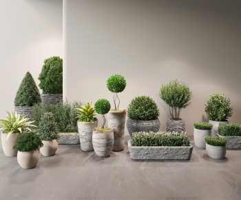 Modern Ground Green Plant Potted Plants-ID:623977909
