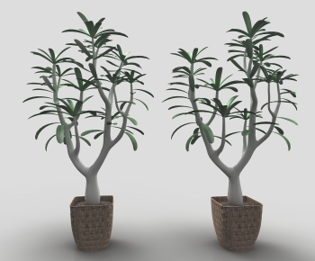 Modern Ground Green Plant Potted Plants-ID:877121934