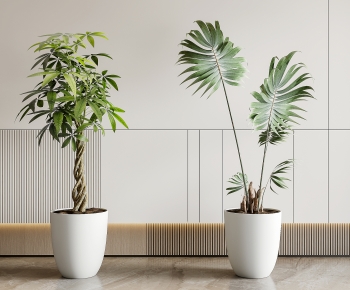 Modern Ground Green Plant Potted Plants-ID:598356012