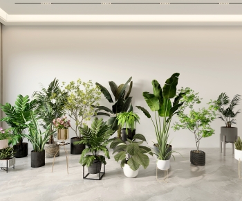 Modern Ground Green Plant Potted Plants-ID:666730471