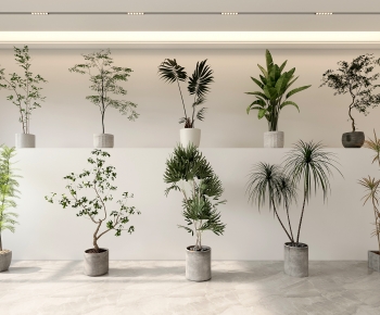 Modern Ground Green Plant Potted Plants-ID:237941036