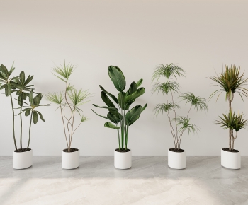 Modern Ground Green Plant Potted Plants-ID:322279937