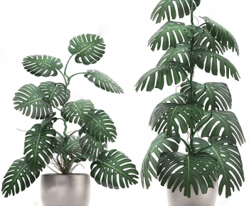 Modern Ground Green Plant Potted Plants-ID:446046111