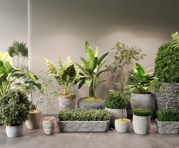 Modern Ground Green Plant Potted Plants-ID:364887957
