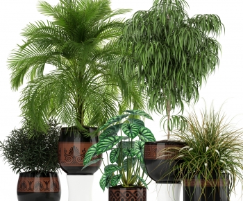 Modern Potted Green Plant-ID:602772956
