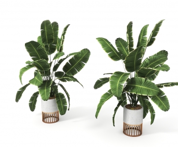 Modern Ground Green Plant Potted Plants-ID:458444121