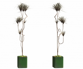 Modern Ground Green Plant Potted Plants-ID:668304923