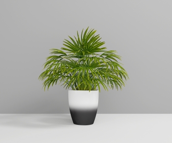 Modern Ground Green Plant Potted Plants-ID:746870043