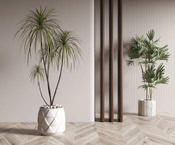 Modern Ground Green Plant Potted Plants-ID:639169932