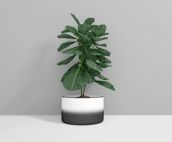 Modern Ground Green Plant Potted Plants-ID:764633891