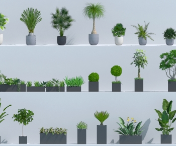Modern Ground Green Plant Potted Plants-ID:197670943